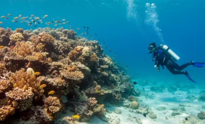 5 Fun Activities For Holidays